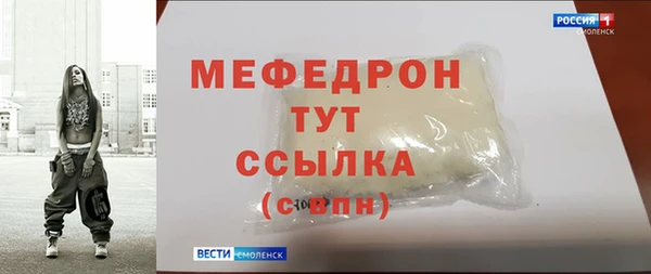 индика Богородицк